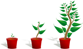 sapling-154734_1280.png