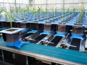 KeyGene high throughput phenotyping system 1-2-2 (1).jpg